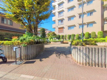 ���n�O�ώʐ^ �B�e��(2025-09-26 00:00:00)