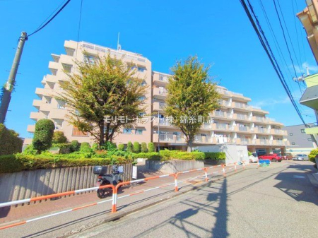 ���n�O�ώʐ^ �B�e��(2025-09-26)