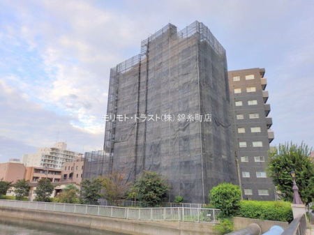 ���n�O�ώʐ^ �B�e��(2025-09-19)