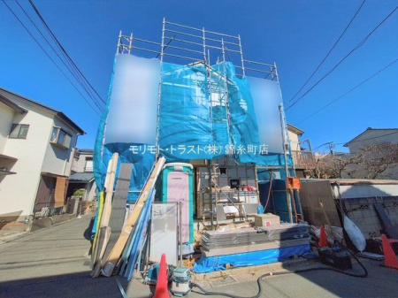 ���n�O�ώʐ^ �B�e��(2026-02-19 00:00:00)