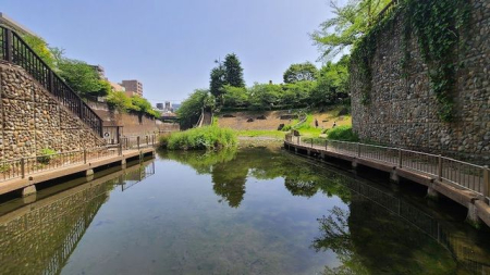 ���ӊ� �������݂��Βn �k��8���B 610m