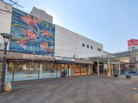 ���ӊ� �s�c�n���S�u�D�x�v�w �B�e��(2025-01-15) 800m