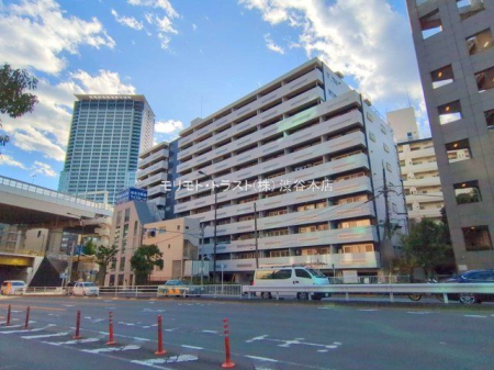 ���n�O�ώʐ^ �B�e��(2025-11-10)