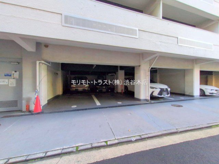 ���n�O�ώʐ^ �B�e��(2025-11-10 00:00:00)