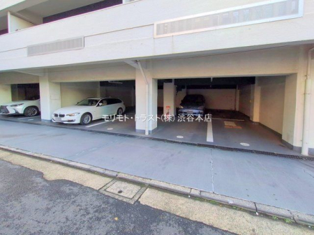 ���n�O�ώʐ^ �B�e��(2025-11-10 00:00:00)