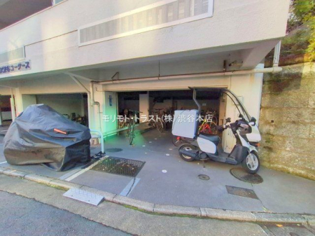 ���n�O�ώʐ^ �B�e��(2025-11-10 00:00:00)