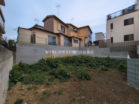 ���n�y�n�ʐ^ �B�e��(2026-03-02)