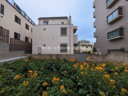 ���n�y�n�ʐ^ �B�e��(2026-03-02 00:00:00)