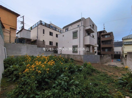 ���n�y�n�ʐ^ �B�e��(2026-03-02 00:00:00)