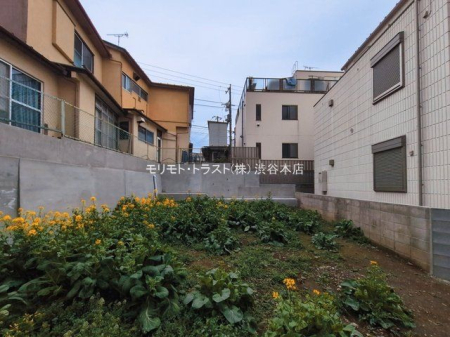 ���n�y�n�ʐ^ �B�e��(2026-03-02 00:00:00)