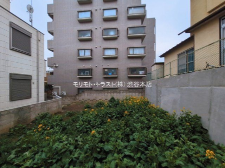 ���n�y�n�ʐ^ �B�e��(2026-03-02 00:00:00)