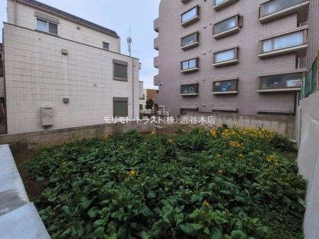 ���n�y�n�ʐ^ �B�e��(2026-03-02 00:00:00)