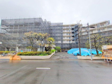 ���n�O�ώʐ^ �B�e��(2025-04-03)