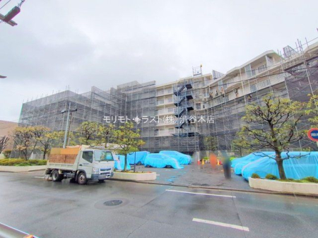 ���n�O�ώʐ^ �B�e��(2025-04-03 00:00:00)