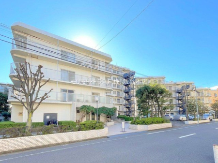 ���n�O�ώʐ^ �B�e��(2023-11-20 00:00:00)