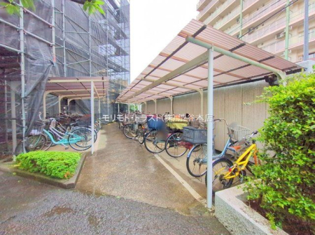 ���n�O�ώʐ^ �B�e��(2025-04-03 00:00:00)