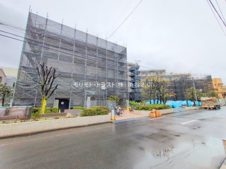 ���n�O�ώʐ^ �B�e��(2025-04-03 00:00:00)