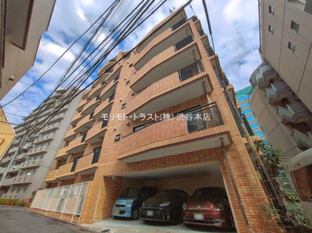 ���n�O�ώʐ^ �B�e��(2026-03-23 00:00:00)