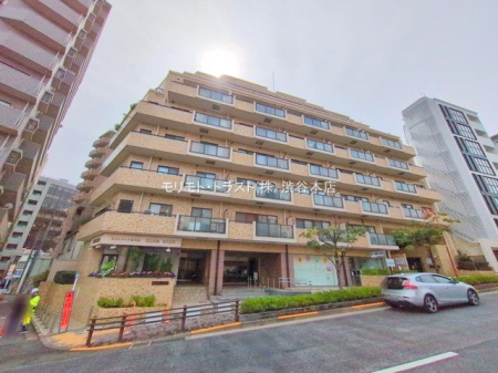 ���n�O�ώʐ^ �B�e��(2025-03-28)