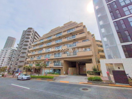 ���n�O�ώʐ^ �B�e��(2025-03-28 00:00:00)