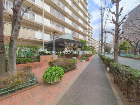 ���n�O�ώʐ^ �B�e��(2026-01-19 00:00:00)