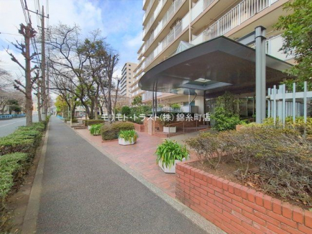 ���n�O�ώʐ^ �B�e��(2026-01-19 00:00:00)