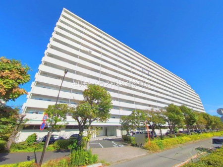 ���n�O�ώʐ^ �B�e��(2025-09-25)