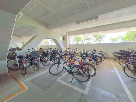 ���n�O�ώʐ^ �B�e��(2025-09-25 00:00:00)