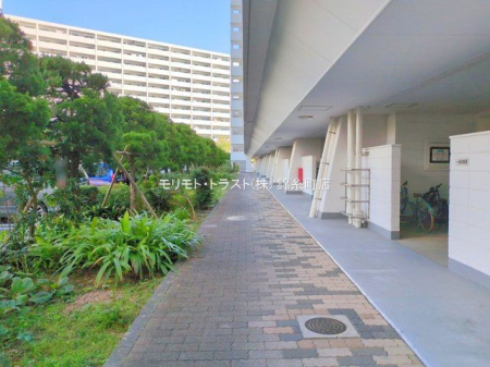 ���n�O�ώʐ^ �B�e��(2025-09-25 00:00:00)