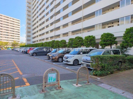 ���n�O�ώʐ^ �B�e��(2025-09-25 00:00:00)