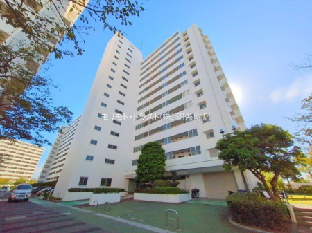 ���n�O�ώʐ^ �B�e��(2025-09-25)