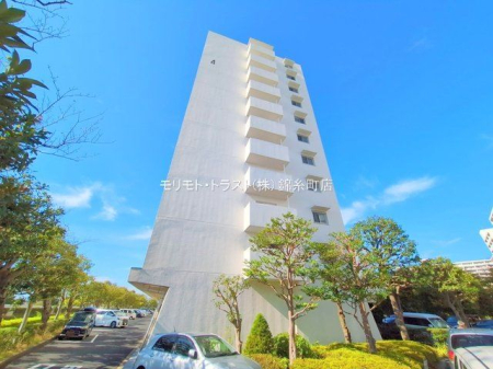 ���n�O�ώʐ^ �B�e��(2025-09-25 00:00:00)