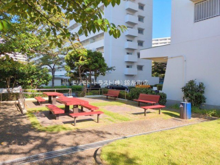 ���n�O�ώʐ^ �B�e��(2025-09-25 00:00:00)