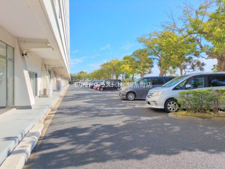 ���n�O�ώʐ^ �B�e��(2025-09-25 00:00:00)