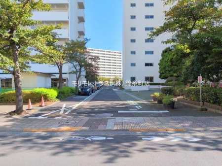 ���n�O�ώʐ^ �B�e��(2025-09-25 00:00:00)