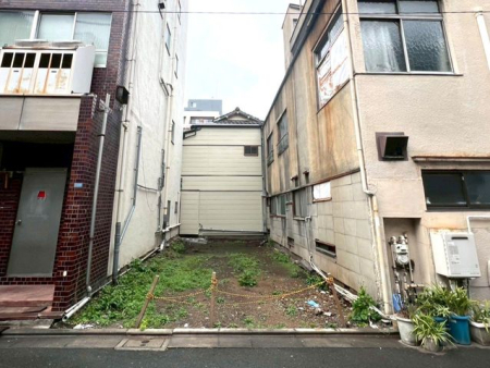 ���n�y�n�ʐ^ �y���n�z�i2026�N3���j�B�e