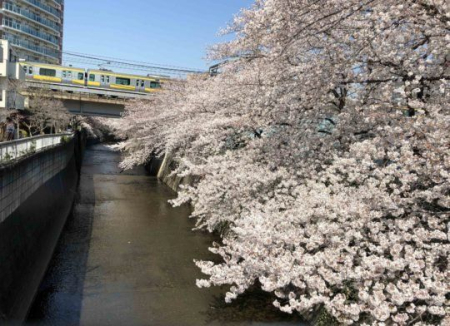 ���ӊ� ��c��������Βn �k��9���B 680m