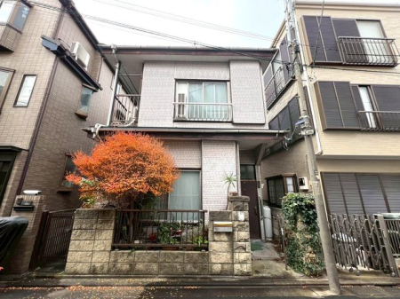 ���n�y�n�ʐ^ �y���n�z�i2026�N3���j�B�e