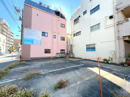 ���n�y�n�ʐ^ �y���n�z�i2026�N3���j�B�e