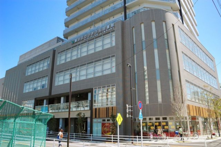 ���ӊ� �n�c�旧�Ђ��ӂː}���� �k��3���B 180m