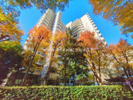 ���n�O�ώʐ^ �B�e��(2024-12-02)