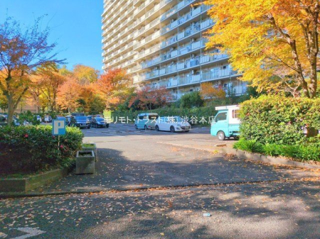 ���n�O�ώʐ^ �B�e��(2024-12-02 00:00:00)