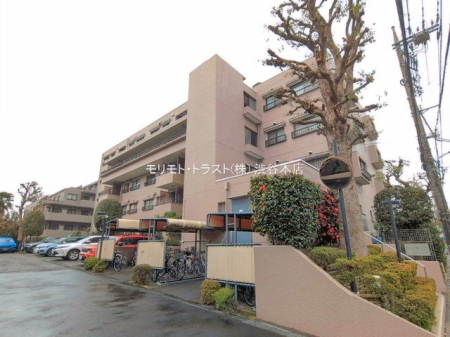 ���n�O�ώʐ^ �B�e��(2026-03-25 00:00:00)