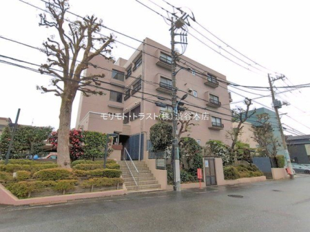 ���n�O�ώʐ^ �B�e��(2026-03-25)