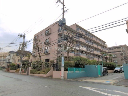 ���n�O�ώʐ^ �B�e��(2026-03-25 00:00:00)