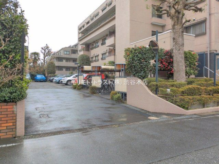 ���n�O�ώʐ^ �B�e��(2026-03-25 00:00:00)