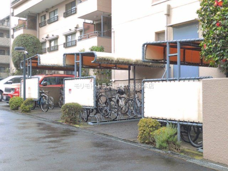 ���n�O�ώʐ^ �B�e��(2026-03-25 00:00:00)