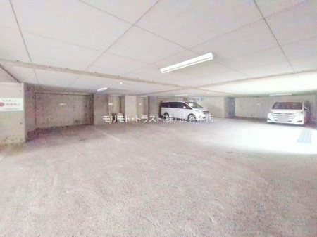 ���n�O�ώʐ^ �B�e��(2025-11-06 00:00:00)