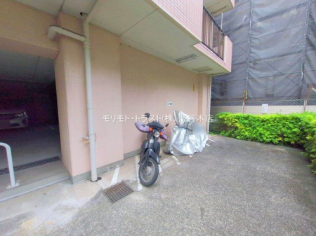 ���n�O�ώʐ^ �B�e��(2025-11-06 00:00:00)