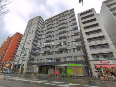 ���n�O�ώʐ^ �B�e��(2026-04-01)